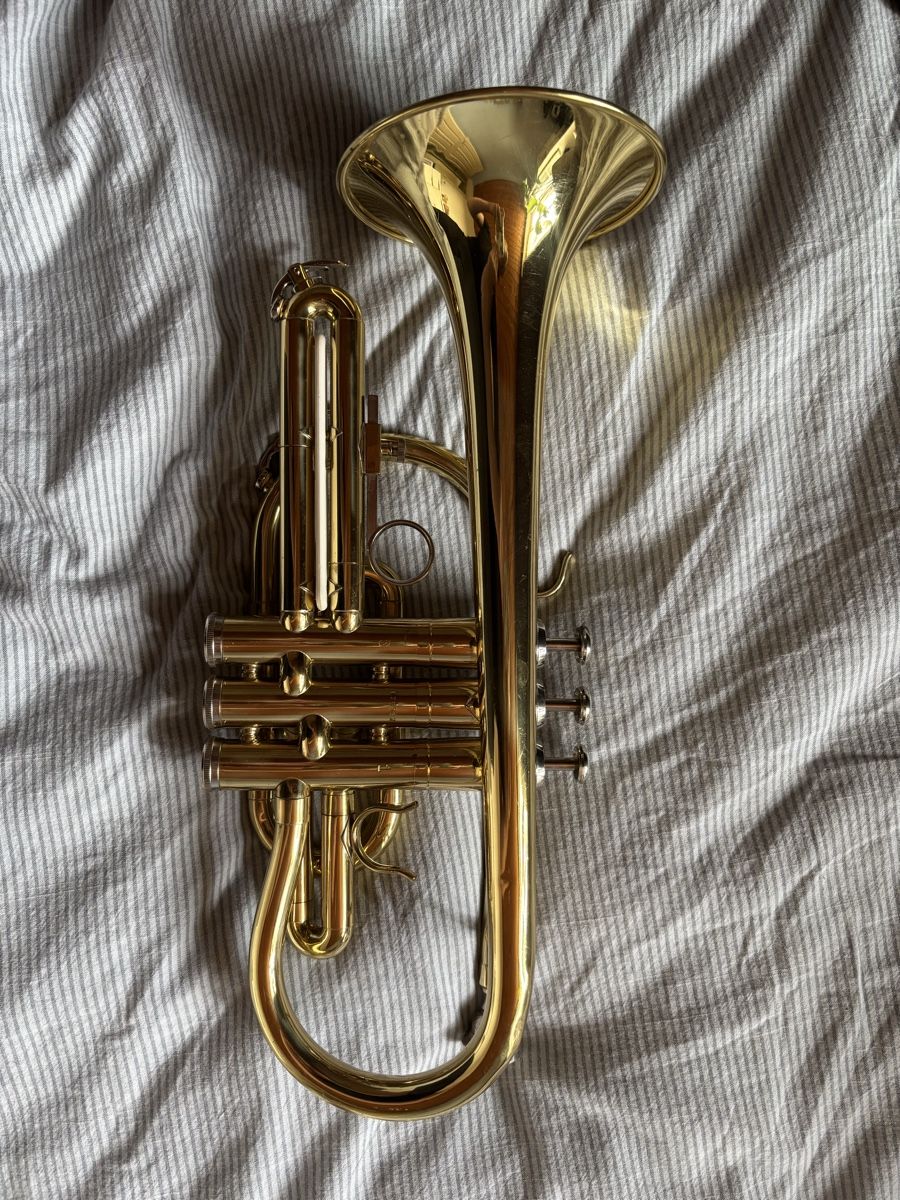 Musikinstrumente: Weril Cornet EC107t – Gebraucht aus Kilchberg BL von wirz_lorena 1