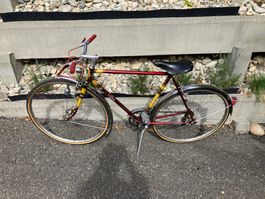 Tigra Sprint Vintage Velo