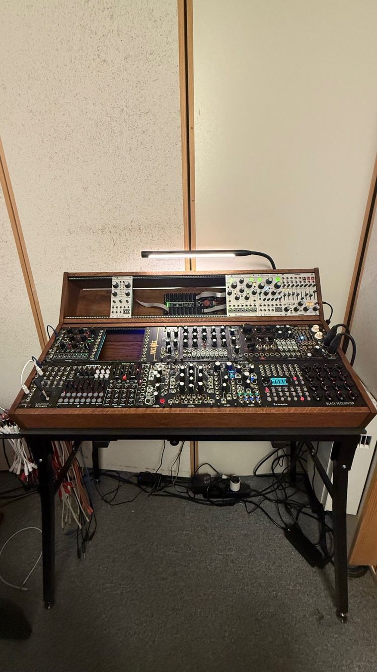 Musikinstrumente: Modular Case von 2 many Synths – Gebraucht aus Niederglatt ZH von Bluevortex