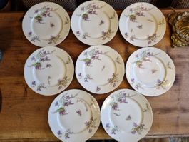 Antik Limoges France 8 Speiseteller Veilchen Porzellan