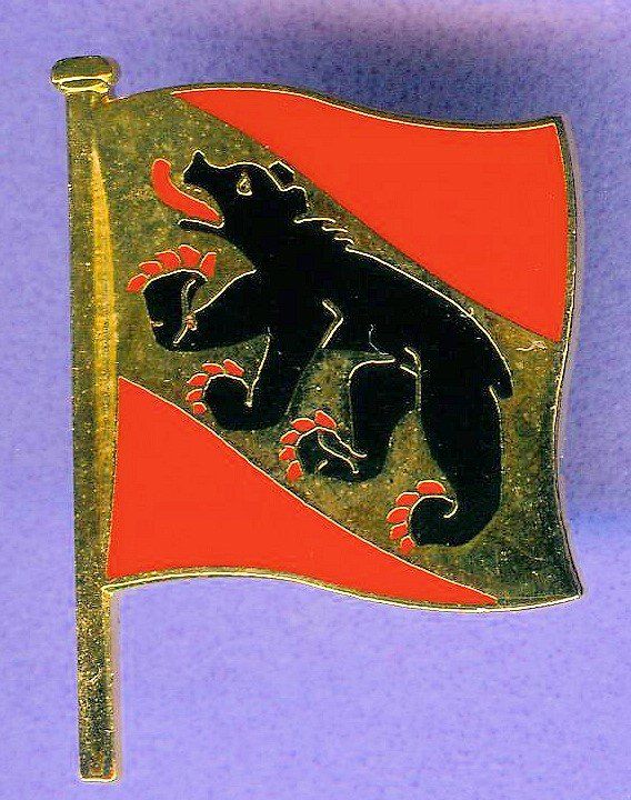 Placchette & Badge: Fahne  BERN – Usato da Winterthur venduto da Sammleroase
