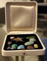 Cabochons u.a. geschliffen, div. Mineralien im Sammleretui