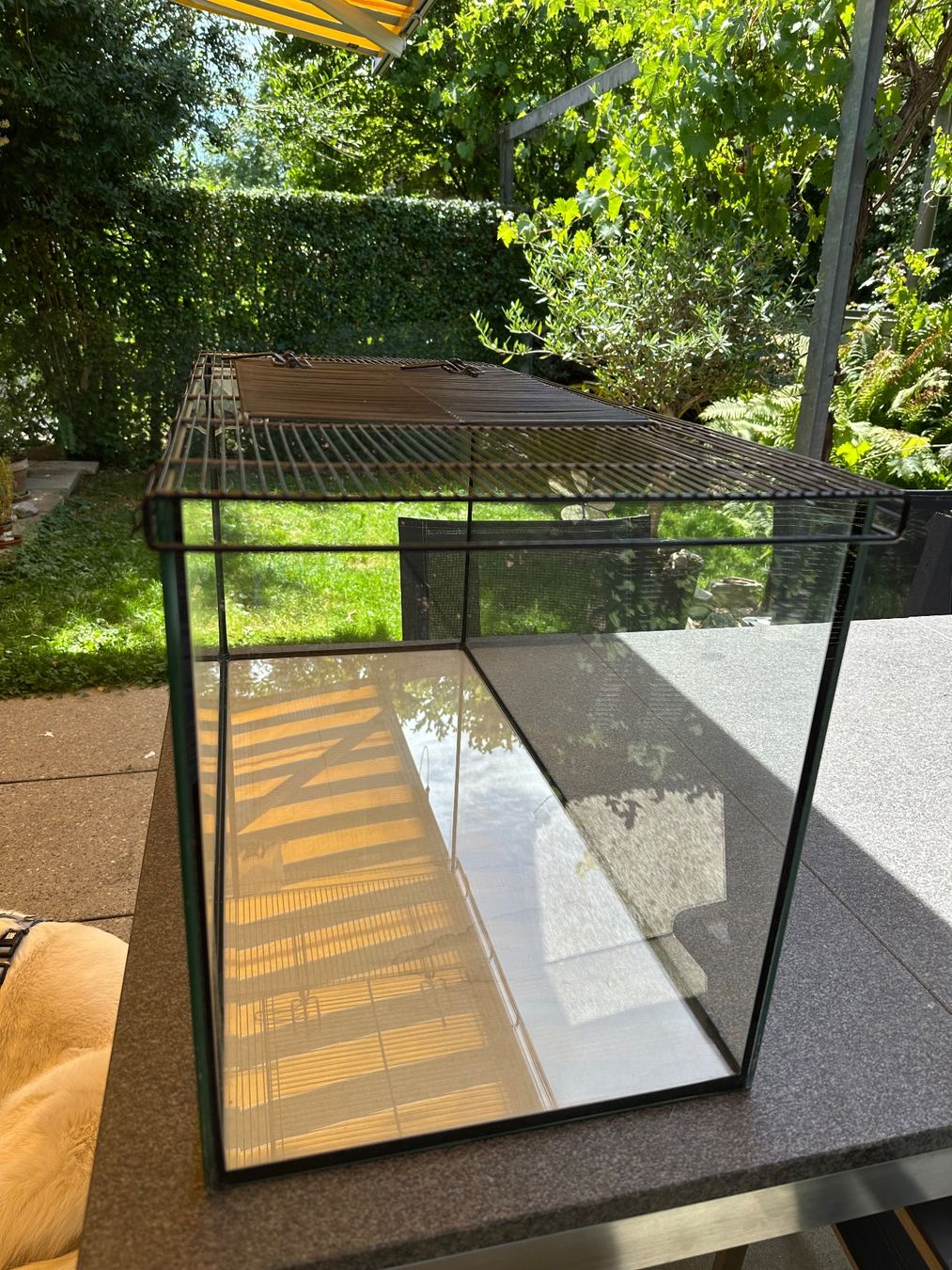 Terrariums: Terrarium 82cmx37cm – D'occasion à Hünenberg See par gin_7fm9 2