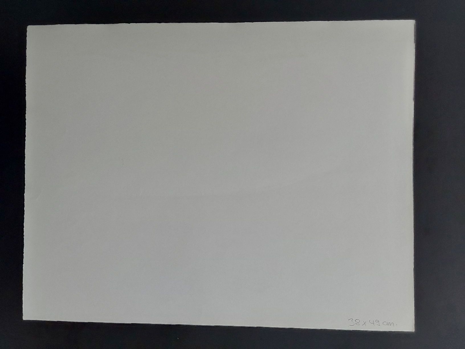 Grafiken & Lithographien: St.Gallen. Litho 16/110 Godi Leiser. Handsigniert. – Gebraucht aus Steinach von Chilli1957 1