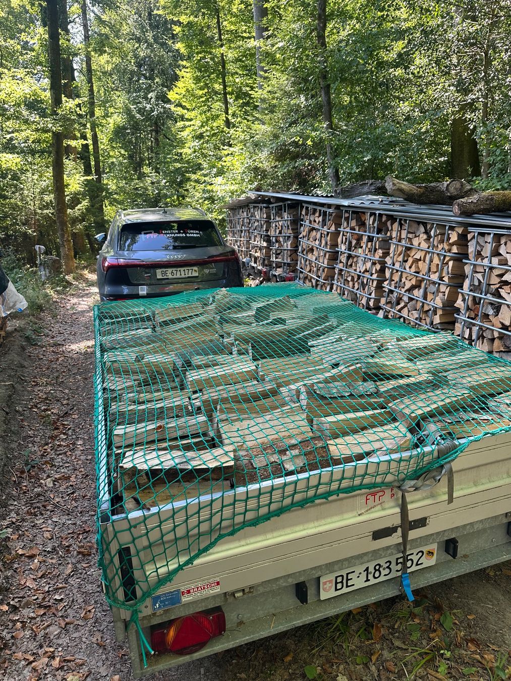 Articoli in legno: Brennholz / Cheminéeholz – Nuovo (secondo la descrizione) da Subingen venduto da PaMuri 7