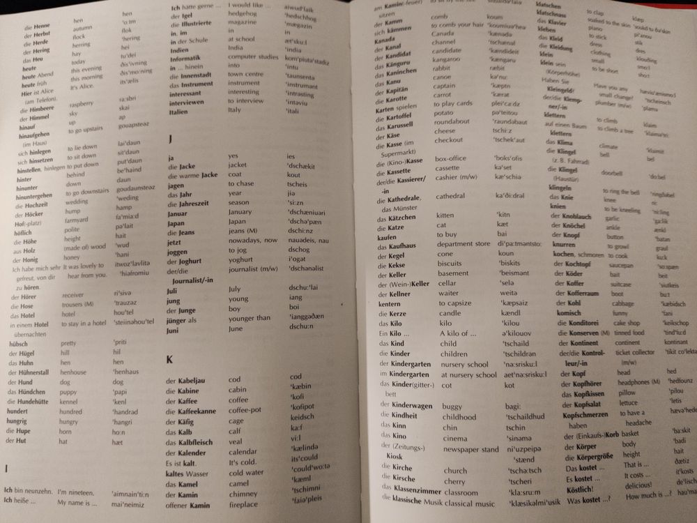 Bildwörterbuch ENGLISCH / 2000 Wörter, Sätze arsEdition Kaufen auf Ricardo