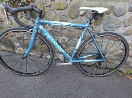 Cannondale Rennvelo