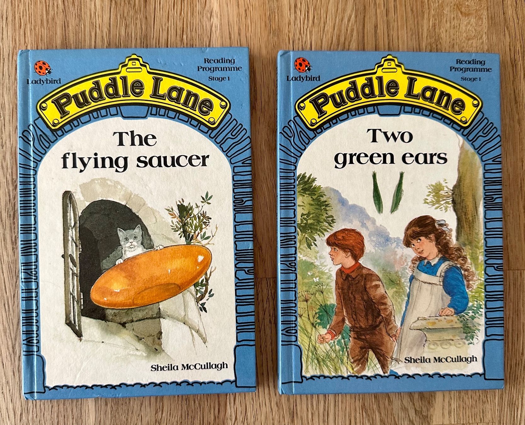 Libri: 2 English books – Usato da Amriswil venduto da Mat08