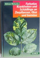 Krankheiten und Schädlinge an Zierpflanzen, Obst und Gemüse