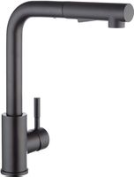Küchenarmatur Wasserhahn ausziehbar 2 Strahlarten Edelstahl