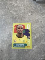 Panini RSA 18