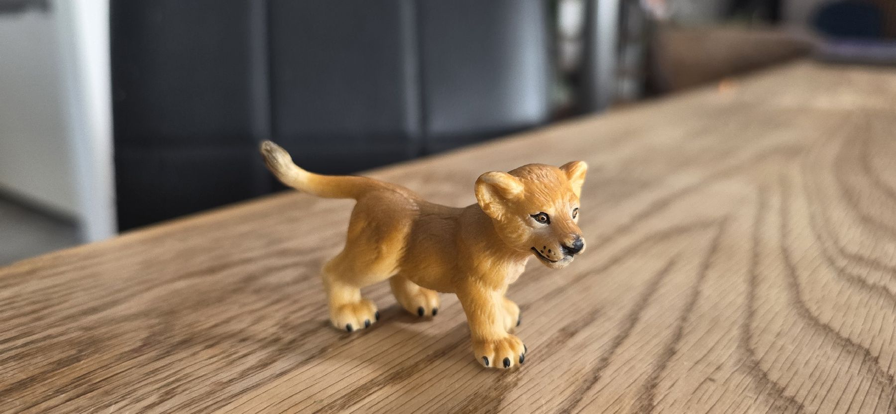 Schleich Spielzeuge: Schleich 14186 baby Löwe – Gebraucht aus Wettingen von dlililou