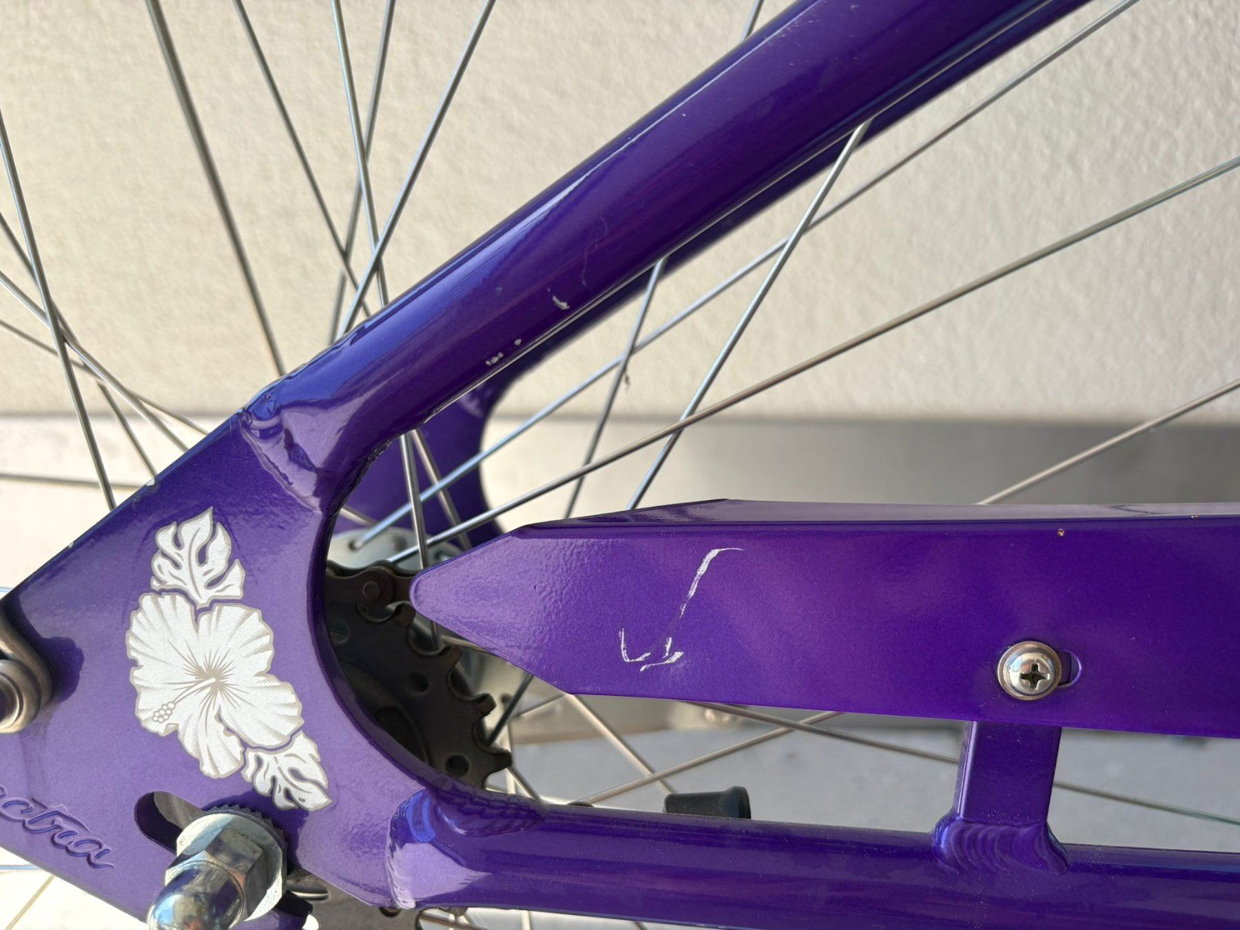 Biciclette: Cruiser Bike – Usato da Oberägeri venduto da SNHAC 2