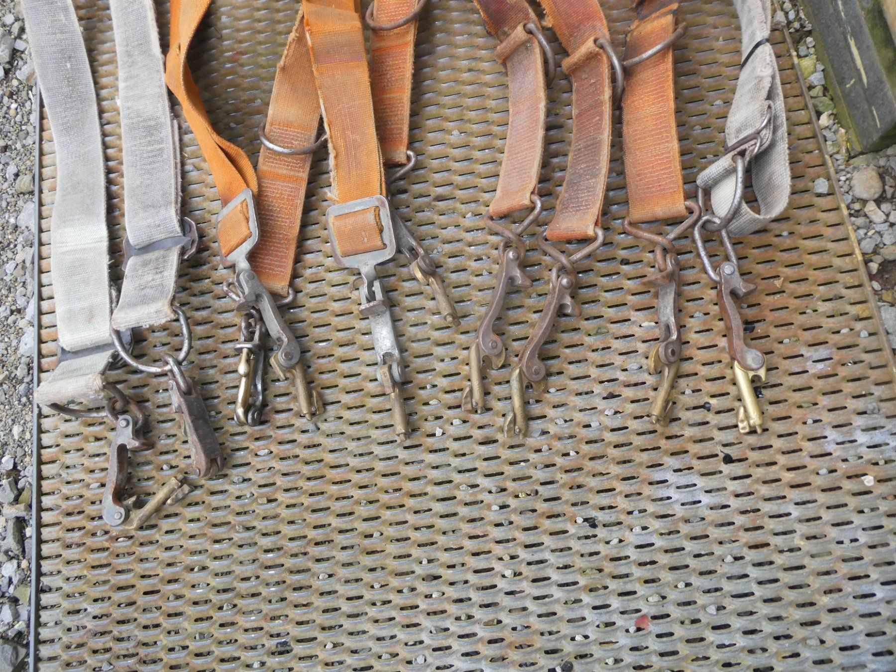 Halsbnder Khe und Rinder (Gebraucht) in Schnis fr CHF 62  mit  Lieferung auf Ricardo kaufen
