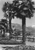 Brissago G