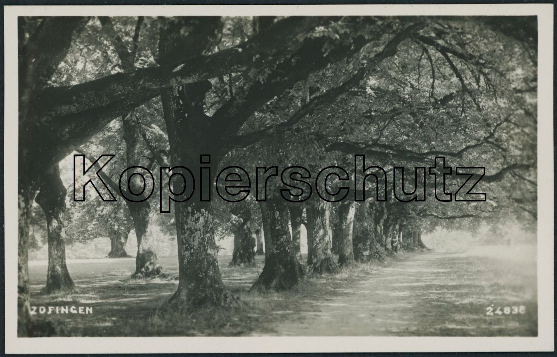 Cartoline postali: AG Zofingen – Nuovo (secondo la descrizione) da Schindellegi venduto da leecollect