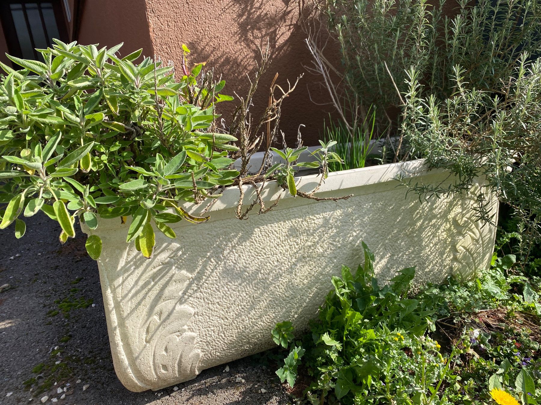 Blumentöpfe: Gartentopf – Gebraucht aus Geroldswil von  2