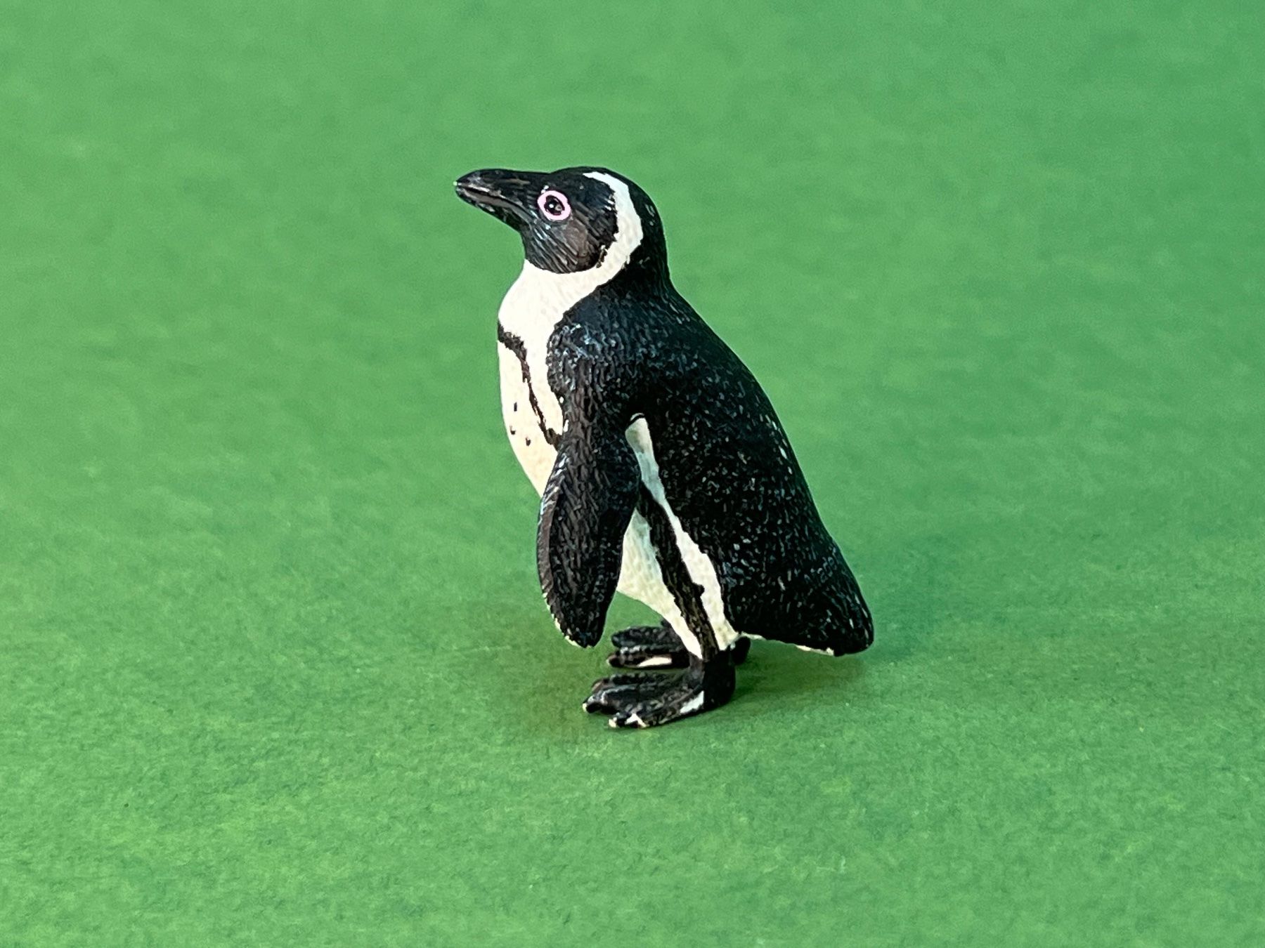 Schleich Statuette: Schleich Brillenpinguin Pinguin 14705 – Usato da Ennetbaden venduto da mapa05 3