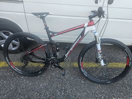 MTB Bergamont 29