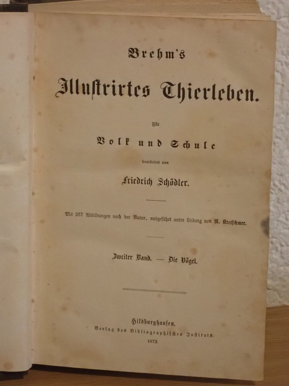 Bücher: Antik  "Brem`s Illustriertes Thierleben", 1860 – Gebraucht aus Winterthur von Minerva_59 4