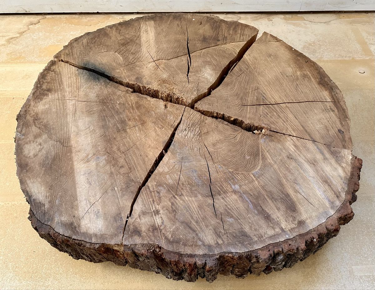 Articles en bois: Eichenscheibe, Baumscheibe, Massivholz, Eiche, Couchtisch – Neuf (Voir description) à Meggen par deanstreet