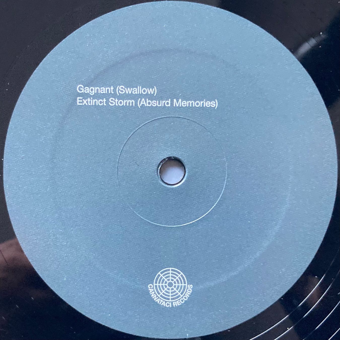 Schallplatten: MODESTE - ABSURD MEMORIES – Gebraucht aus Poliez-Pittet von Newtown-Records 5