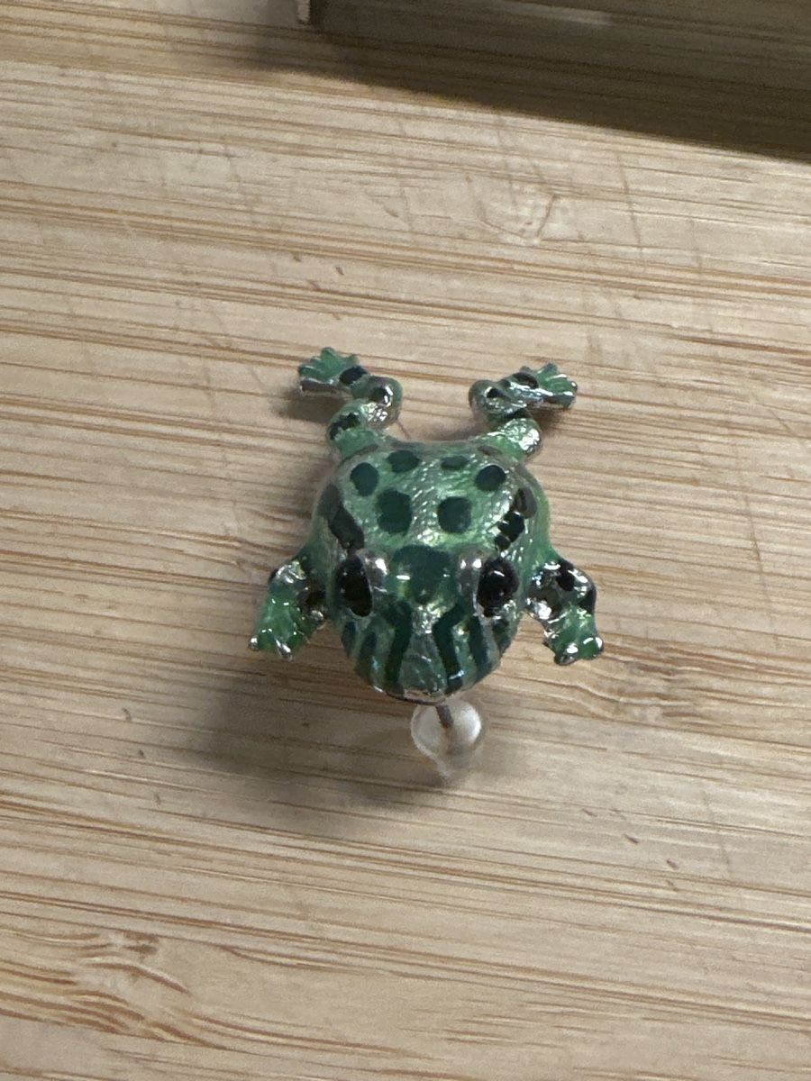 Spille & Fermagli: Frosch Anstecker Brosche – Nuovo (secondo la descrizione) da Trüllikon venduto da angela4444 4