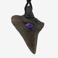 Mako Haifischzahn Steinanhänger (fossiliert) mit Sugilith