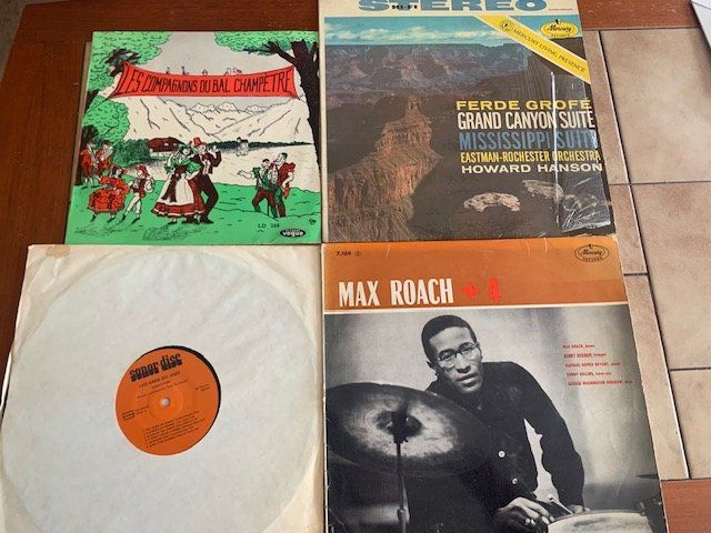 Dischi in vinile: vinyles 1960-1970 – Usato da sion venduto da domino63