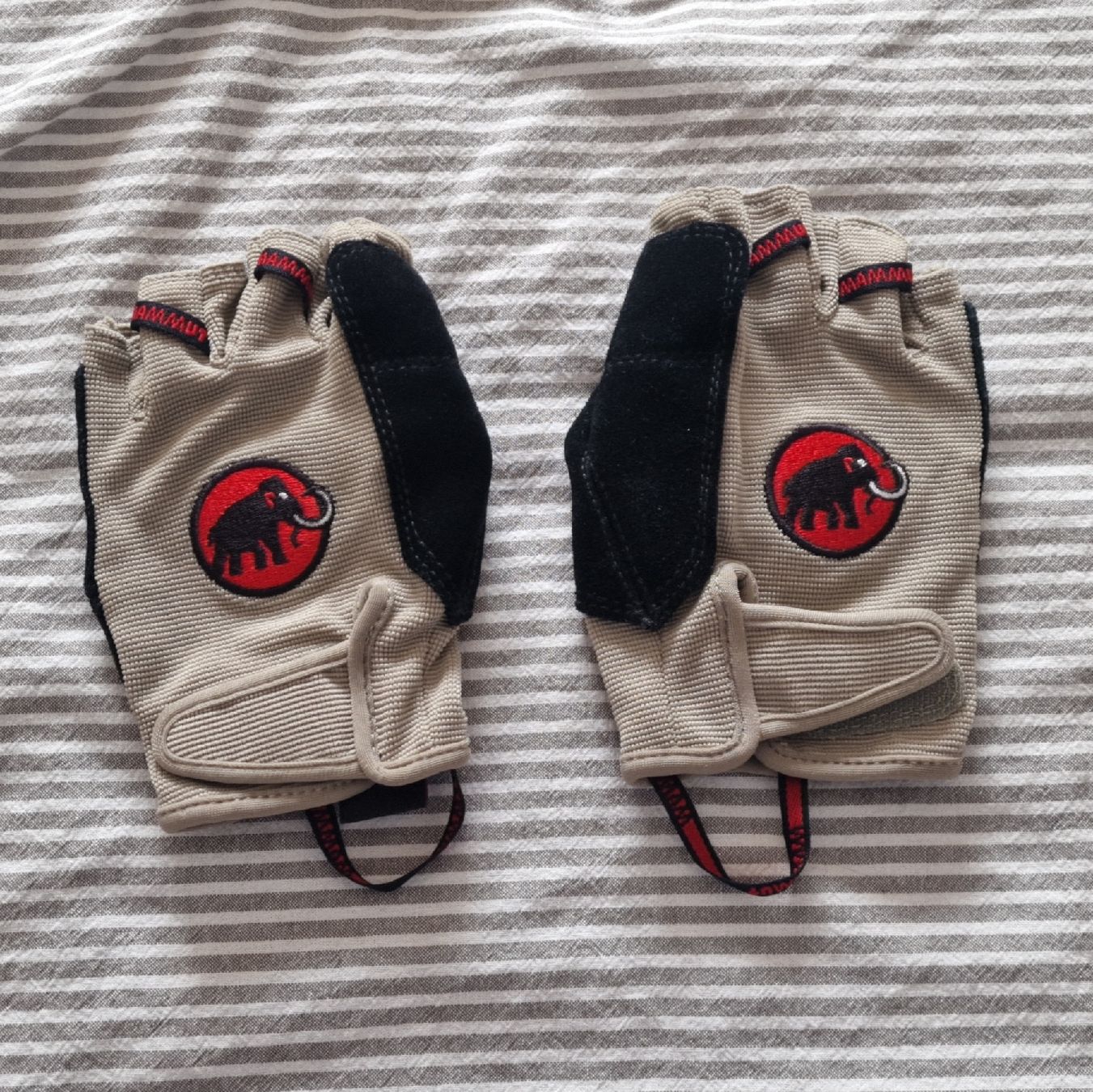Mammut Handschuhe & Handstulpen: Fingerhandschuhe Mammut – Neu (gemäss Beschreibung) aus Olten von papalbina