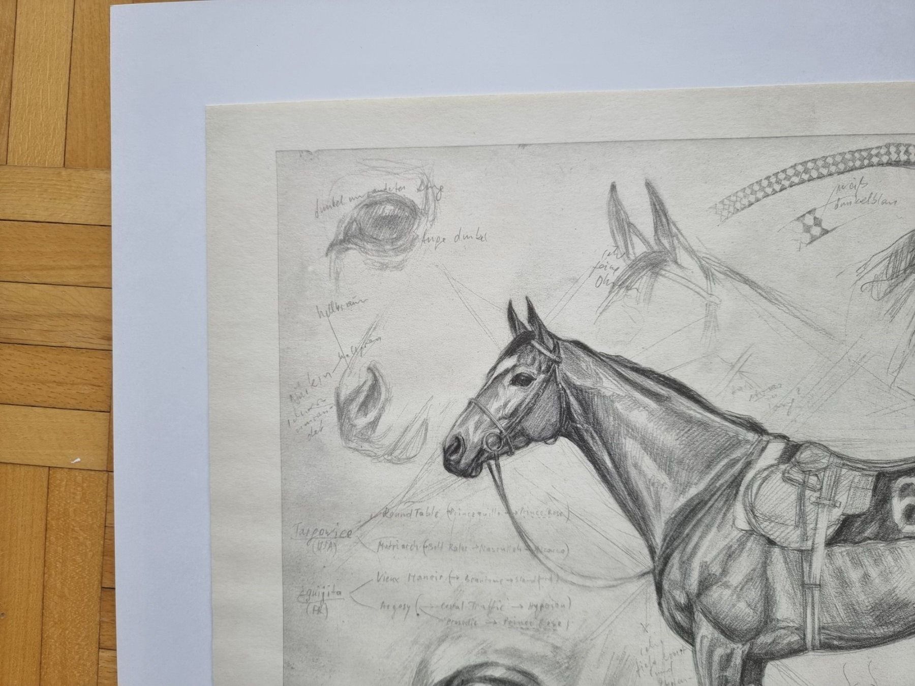 Grafica & Litografie: Klaus Philipp Kunstdruck Abary – Nuovo (secondo la descrizione) da Arosa venduto da horseracing 1