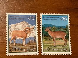 Nepal Briefmarken 1999, Vierhornantilope
