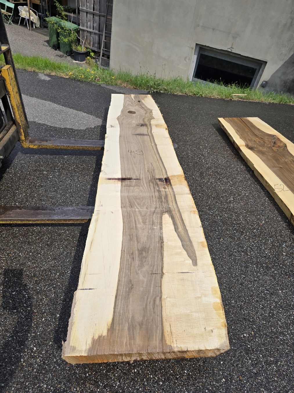 Articoli in legno: Nussbaumstamm frisch – Nuovo (secondo la descrizione) da Ramsei venduto da Waelchris 2