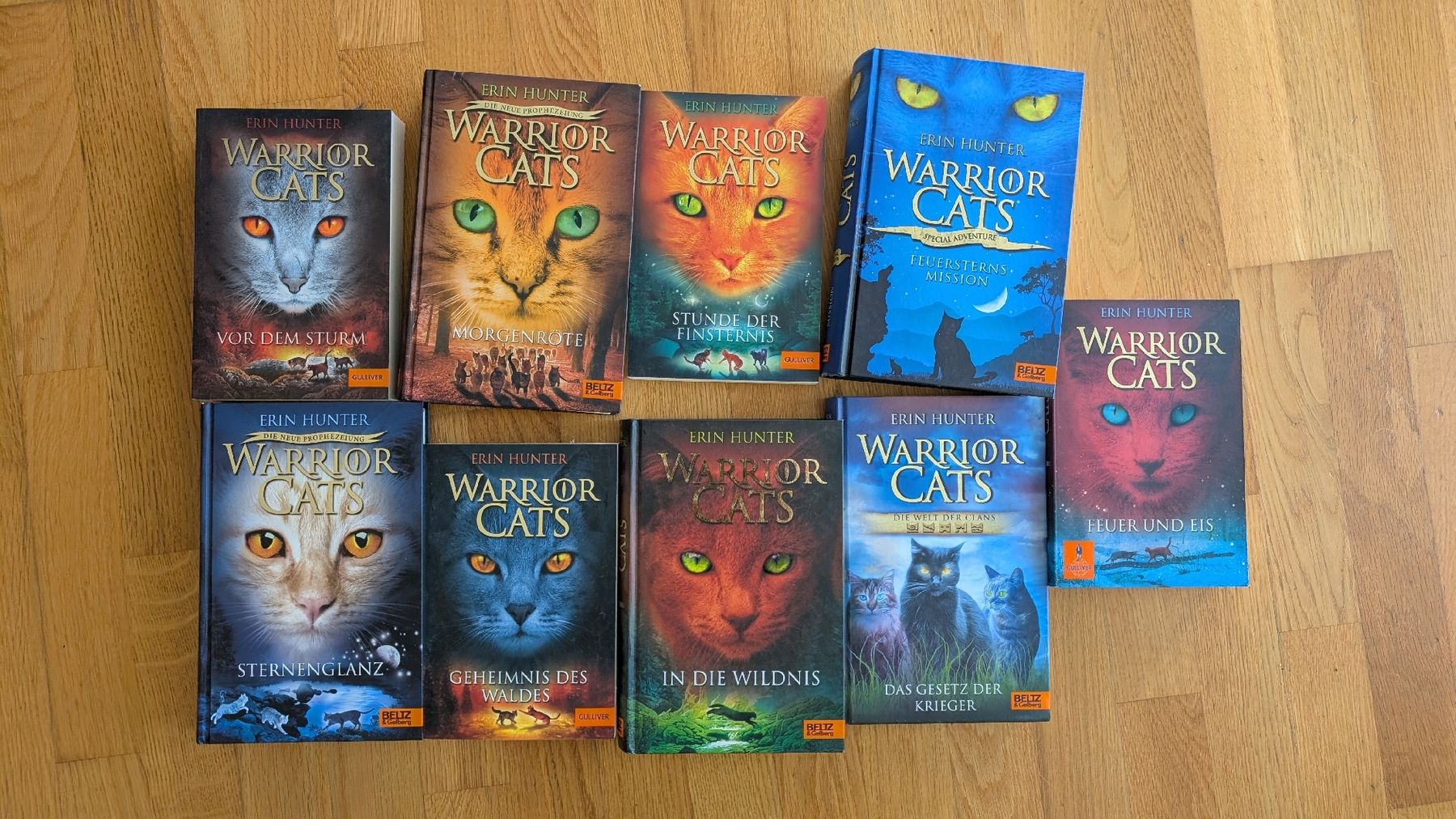 Bücher: Warrior Cats Büchersammlung – Gebraucht aus Burgdorf von Henrikspringbrunn