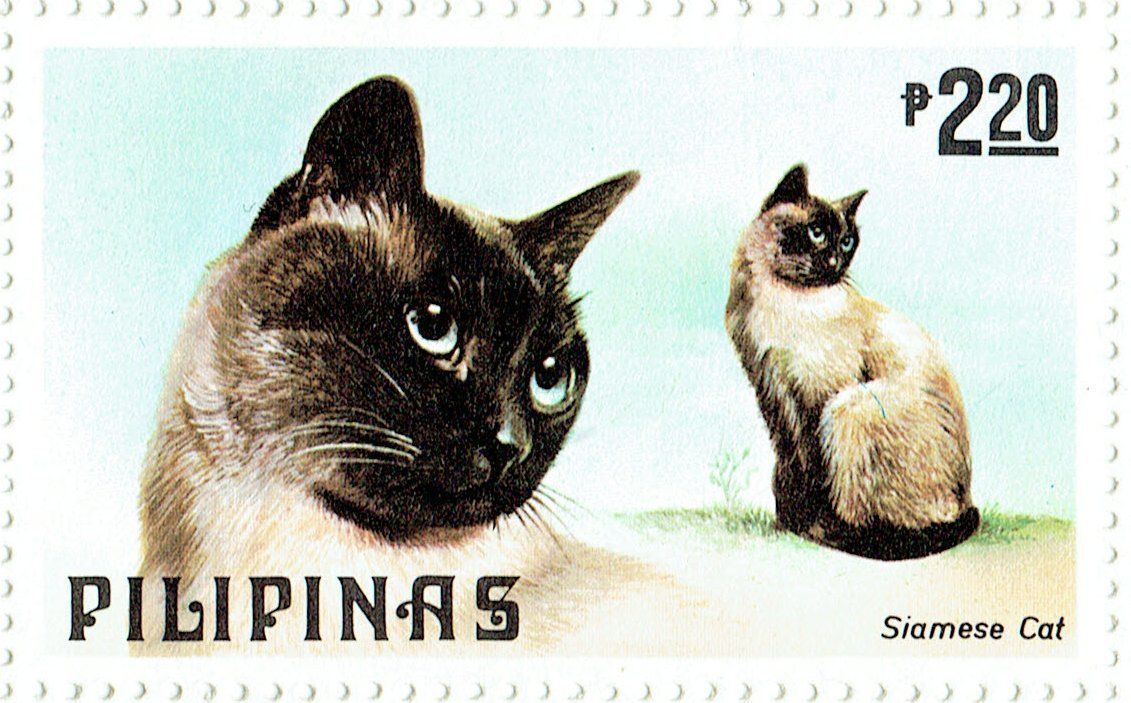 Tutti i francobolli: Briefmarken Bogen Philippinen Siamkatze 1979 – Nuovo (secondo la descrizione) da Winterthur venduto da sumpfis