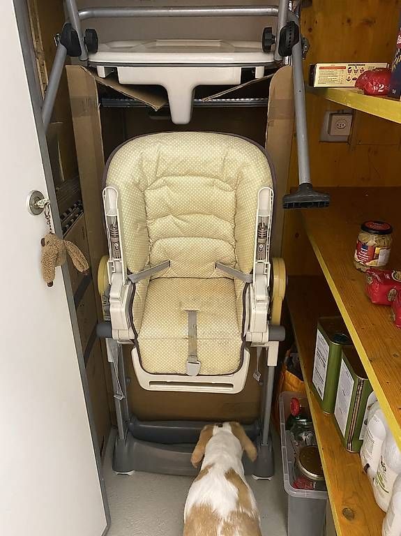 Seggioloni: Baby chair – Usato da Arlesheim venduto da jud_k2lz