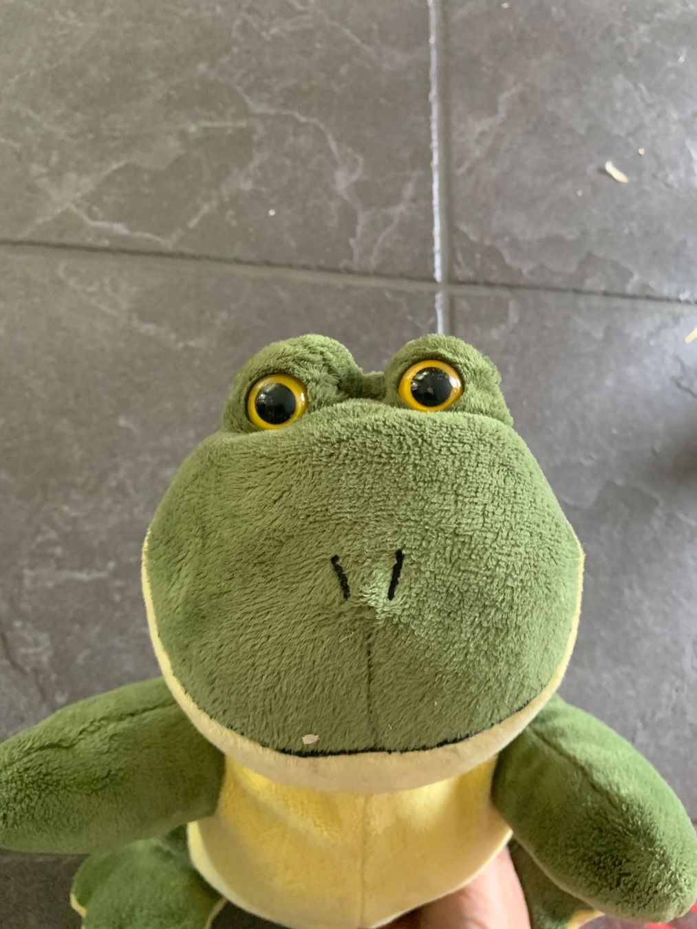 Spielzeuge: Grüner Plüschfrosch – Neu (gemäss Beschreibung) aus Gossau ZH von Daniela710