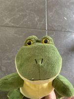 Süsser Frosch sucht neues Zuhause - Top Zustand!🐸💚🐸💚🐸💚