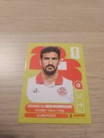 Panini WM 2026 TUN 12