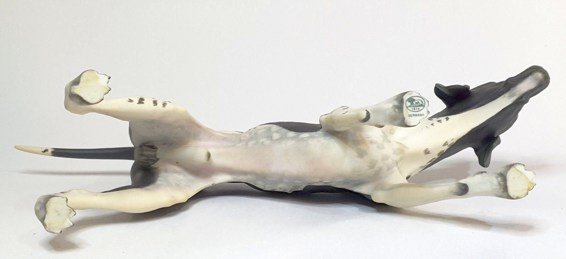 Hutschenreuther Statuette: Hutschenreuter Porzelan Figur Pointer – Usato da Ebikon venduto da Fredieluz 3