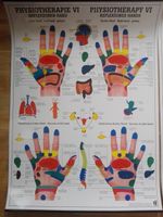 Physiotheraphie  VI  - Handreflexzonen  (Deutsch & Englisch)