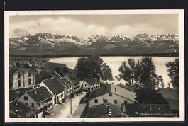 Pfäffikon, Seestrasse aus der Vogelscha