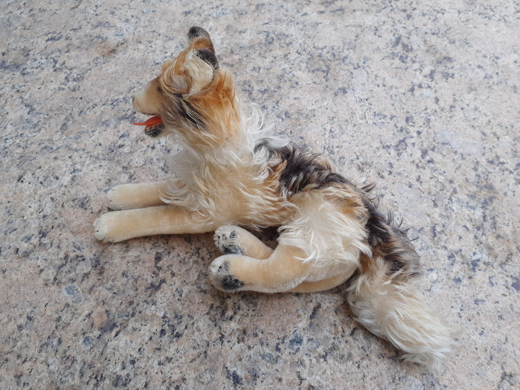 Steiff Giocattoli: Stofftier Steiff Collie antik – Usato da Mörschwil venduto da lindaswunderkiste 2