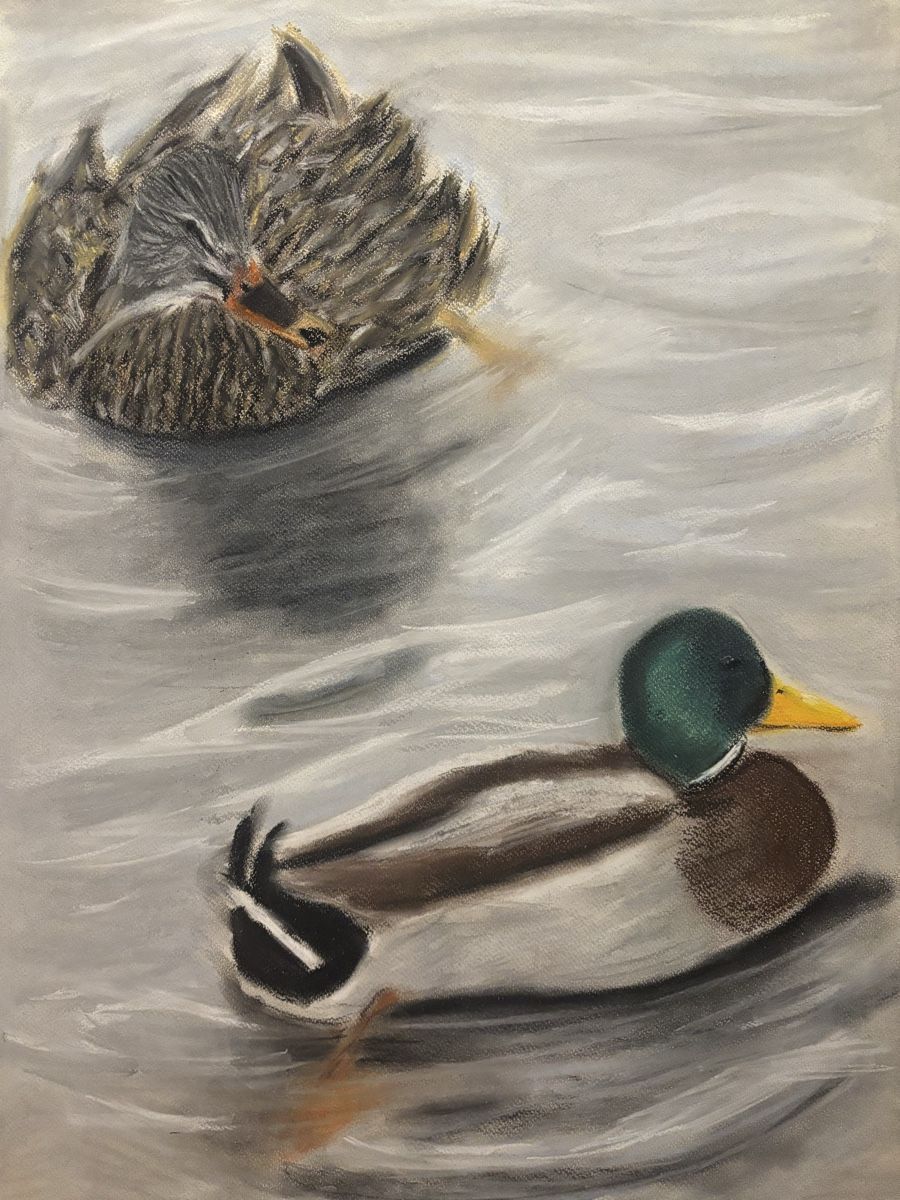 Gemälde: Die Ente  – Gebraucht aus Wettingen von mal_c2fj