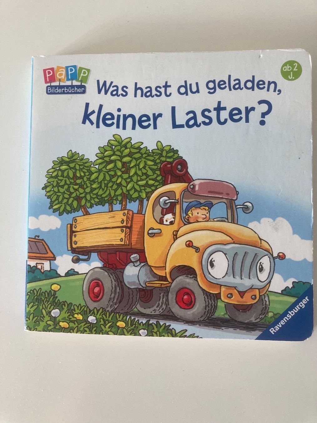 Libri: Buch kleiner Laster – Usato da Winterthur venduto da NatMet11