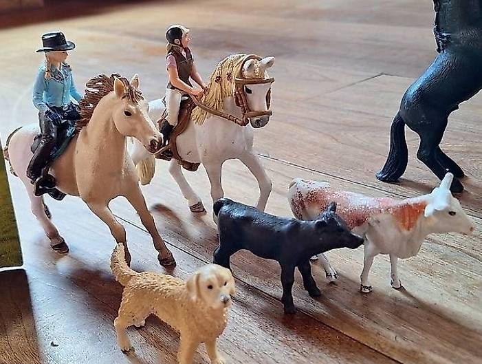 Giocattoli: Schleich Cowboyset mit diversem Zubehör – Usato da Rüti ZH venduto da la-93