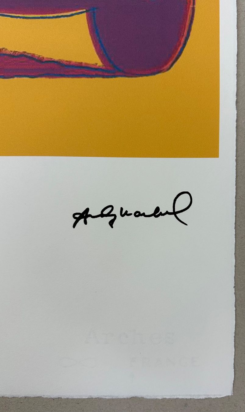Foto & Immagini: Andy Warhol: Volkswagen POP ART 37/100 – Nuovo (secondo la descrizione) da Meilen venduto da Smgdesign 2