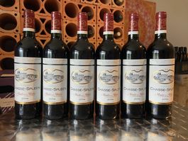 6 Fl. Château Chasse Spleen, Moulis AOC, Bordeaux, 2014