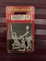 Warhammer Fantasy Hochelfen Blister RAR