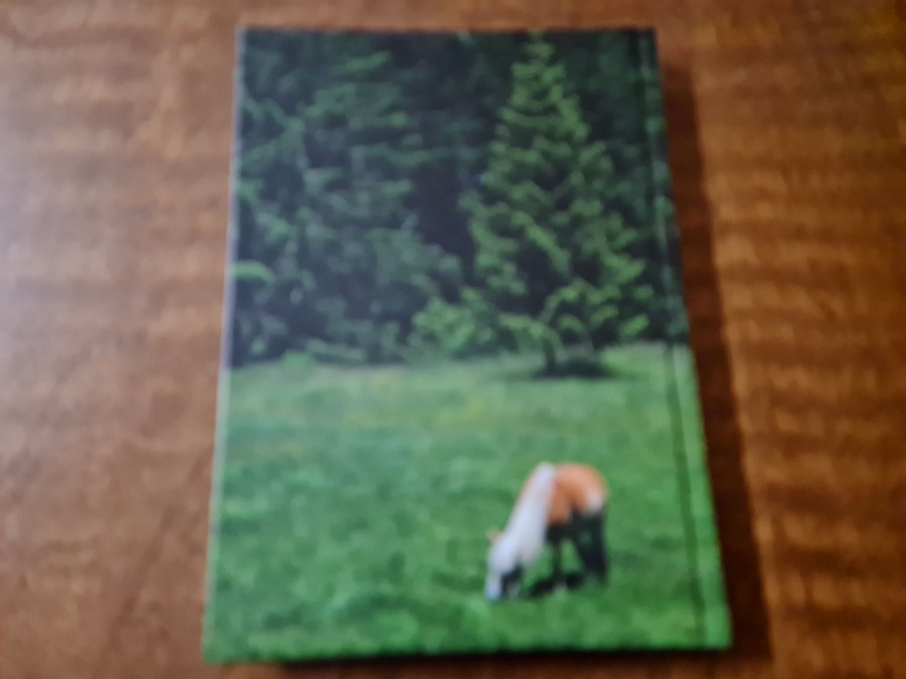 Bücher: Kleine Pferdegeschichten Nr.57 – Gebraucht aus Erstfeld von Uhu1980 1